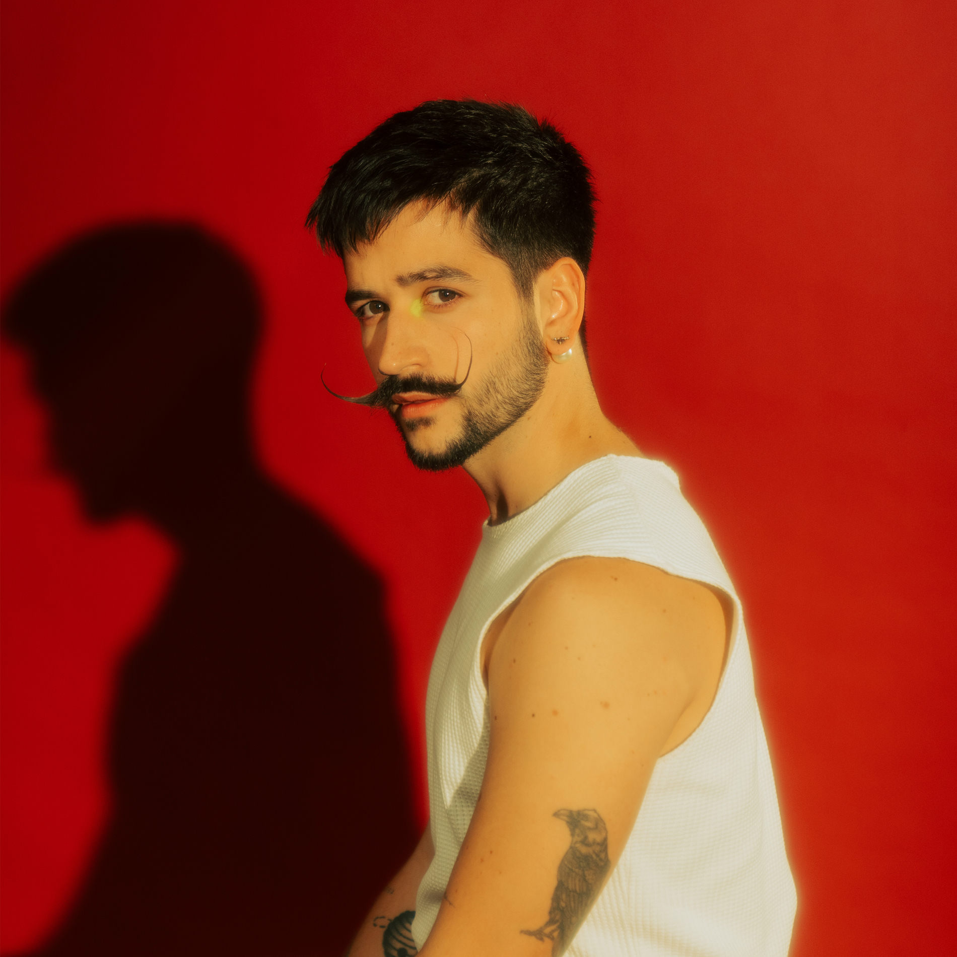 Artist picture of Camilo