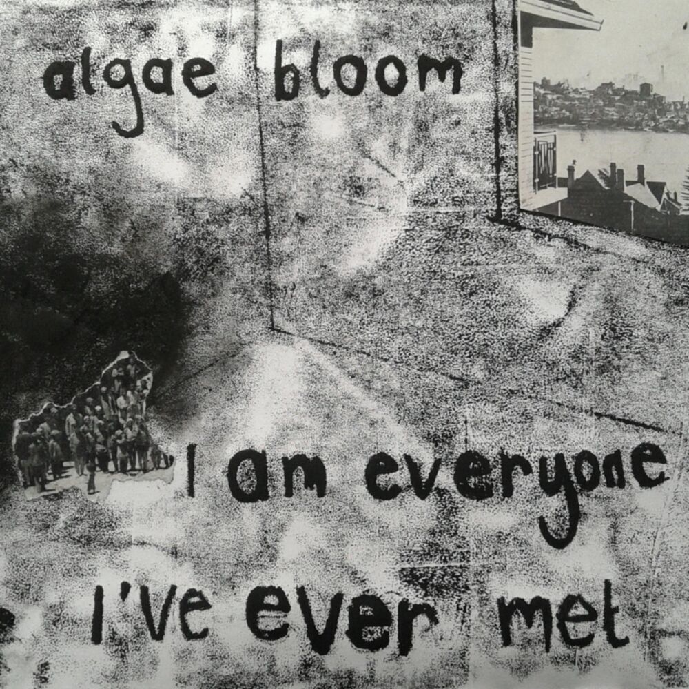 Picture of Algae Bloom
