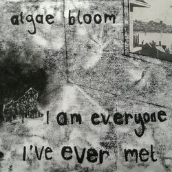 Picture of Algae Bloom