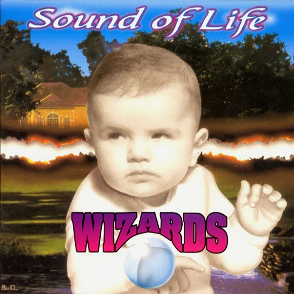Picture of Wizards