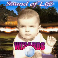 Picture of Wizards