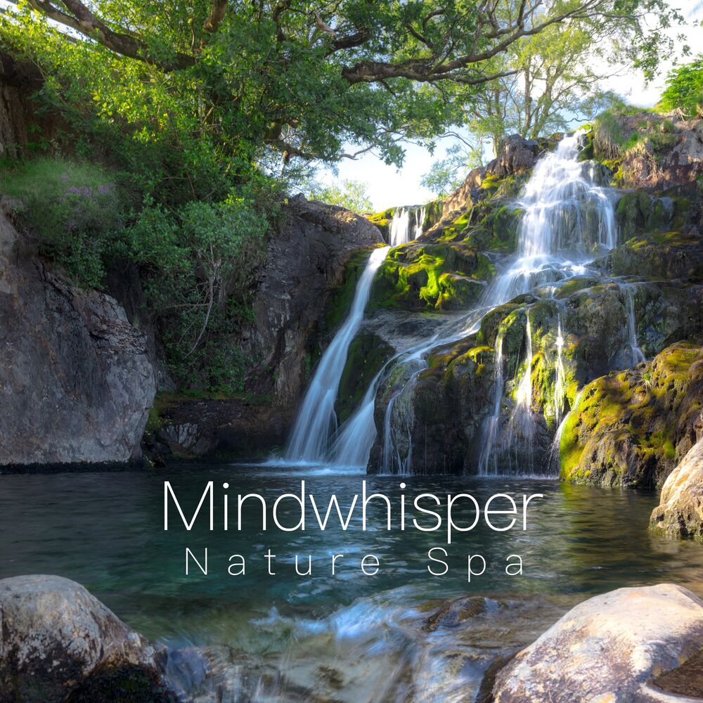Picture of Mindwhisper