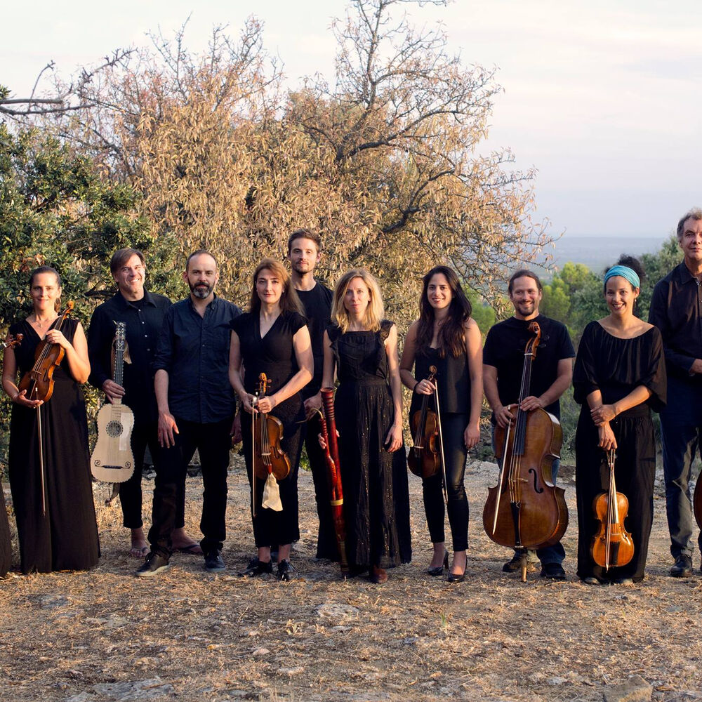 Picture of Ensemble Clematis