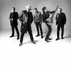 Picture of The Black Sorrows