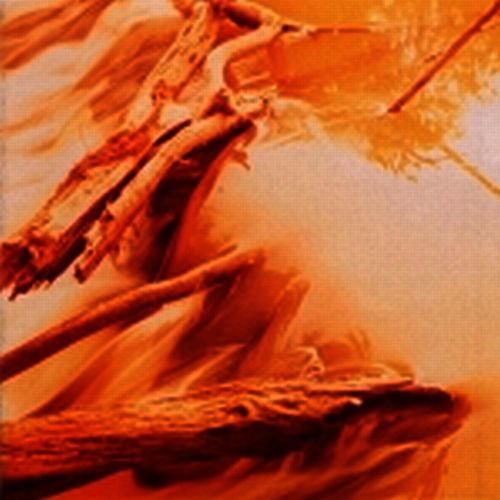 500x500.jpg