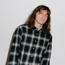 Picture of Allday