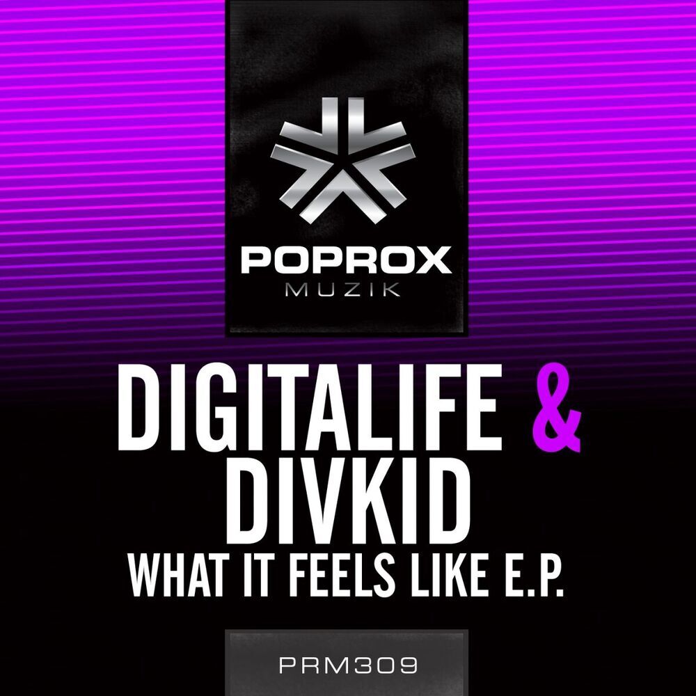 Picture of Digitalife & Divkid