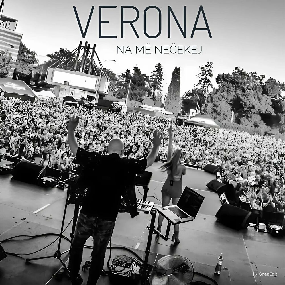 Picture of Verona