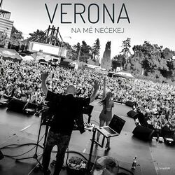Picture of Verona