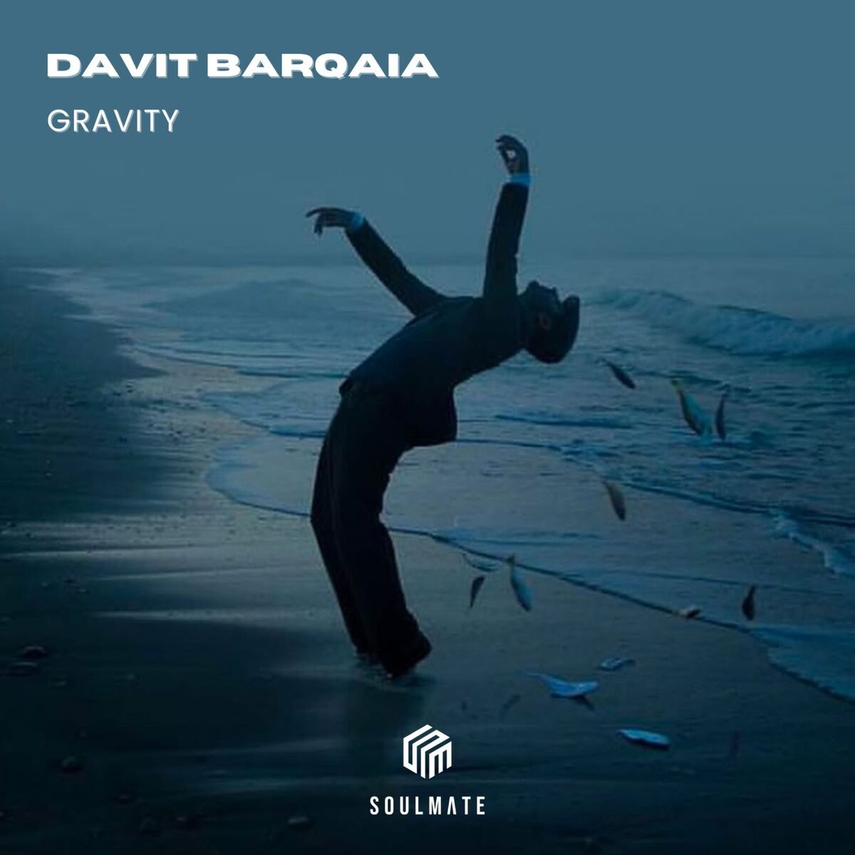 Davit Barqaia