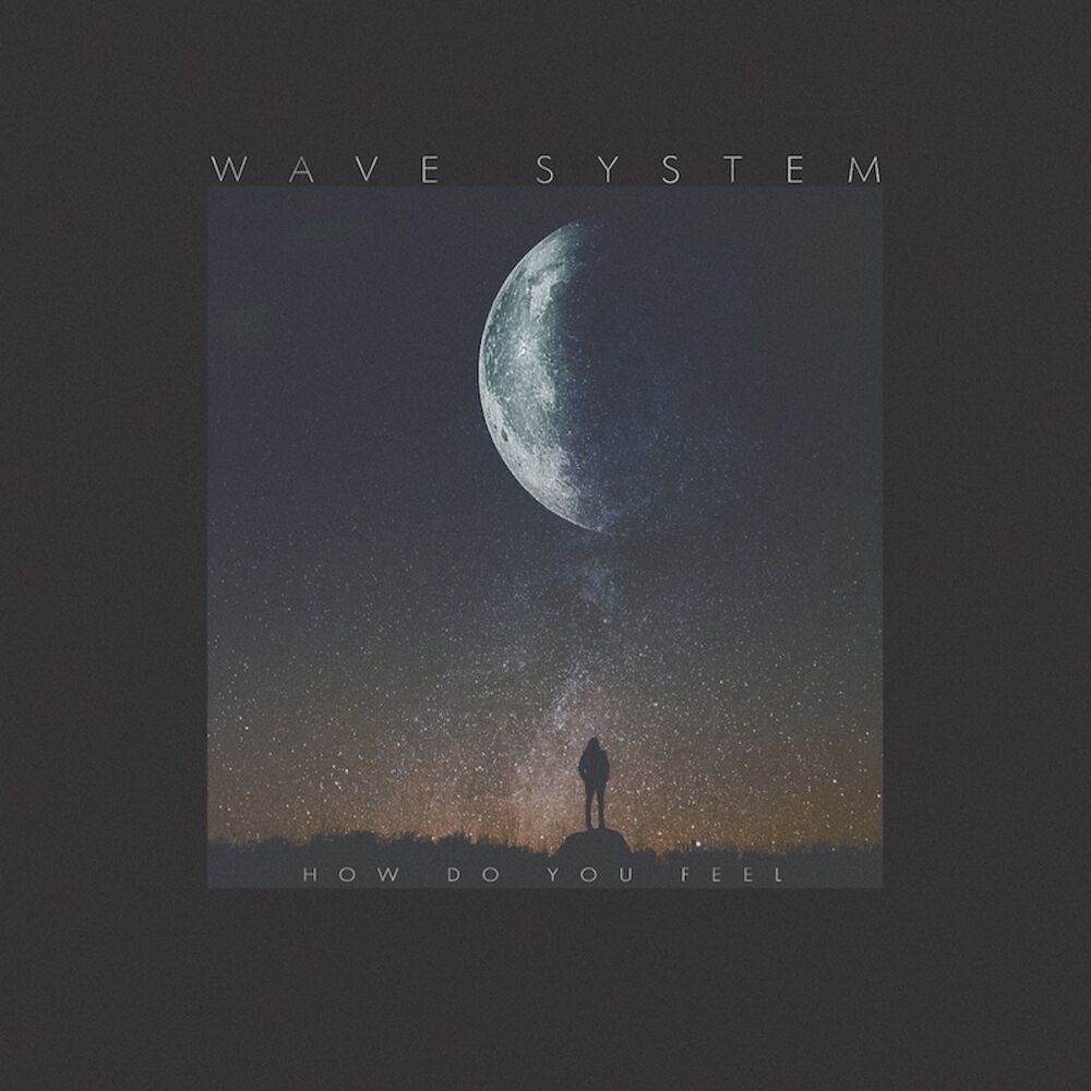Picture of Wave System