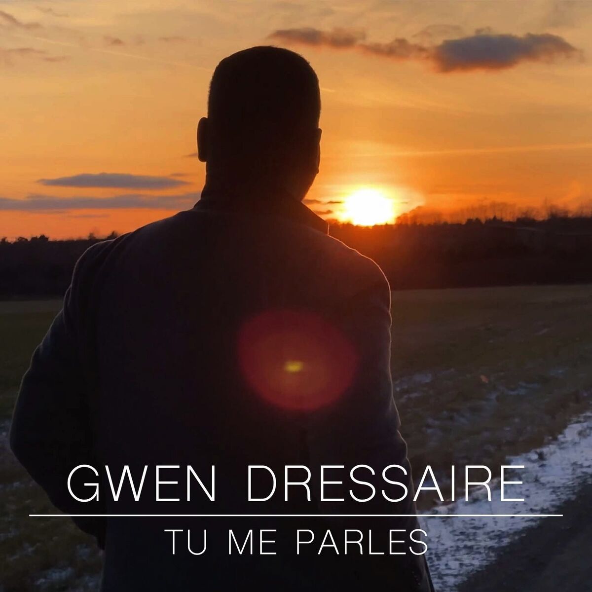 GWEN DRESSAIRE