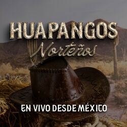 Picture of Huapangos Norteños