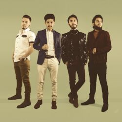 Picture of Los Fascinantes
