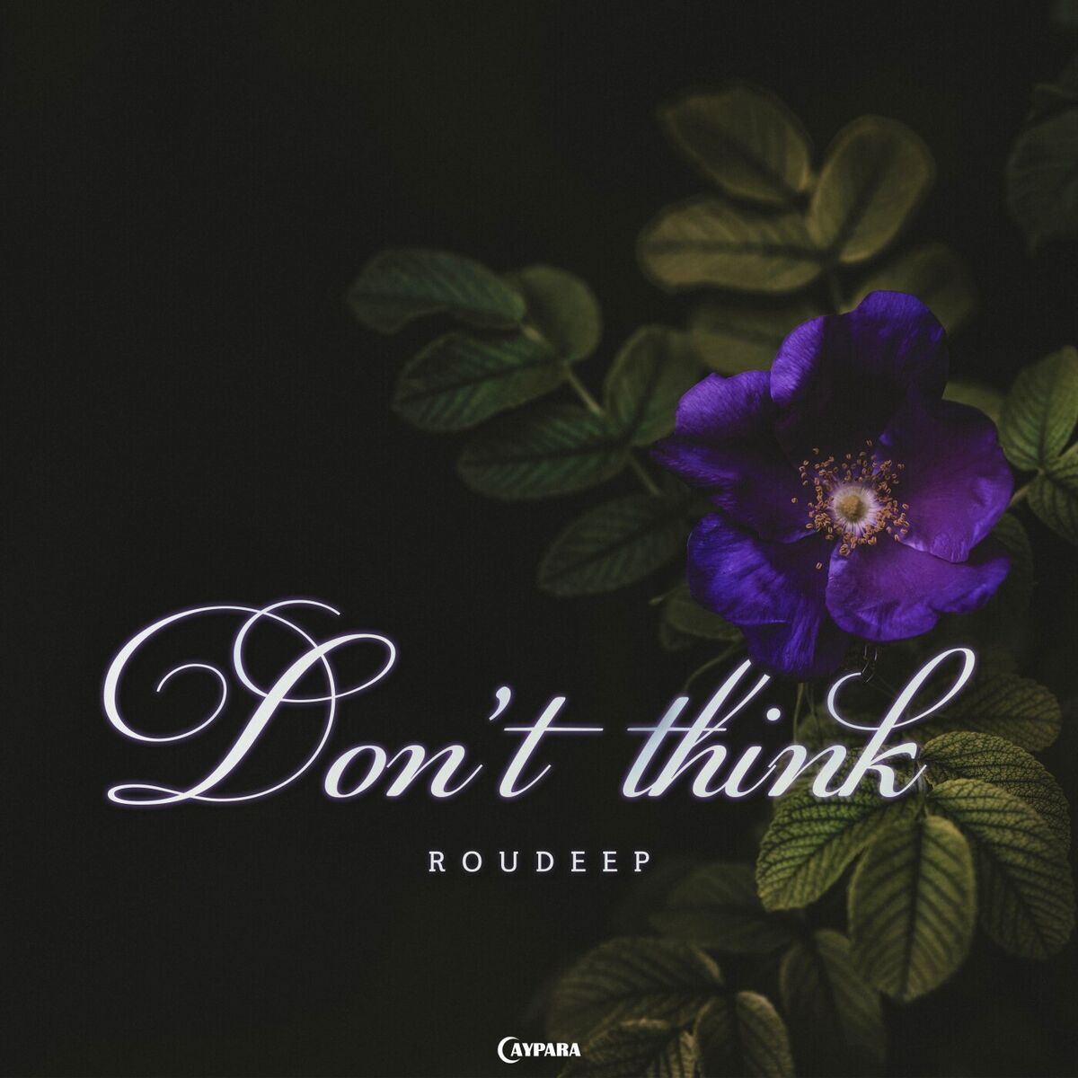 Roudeep