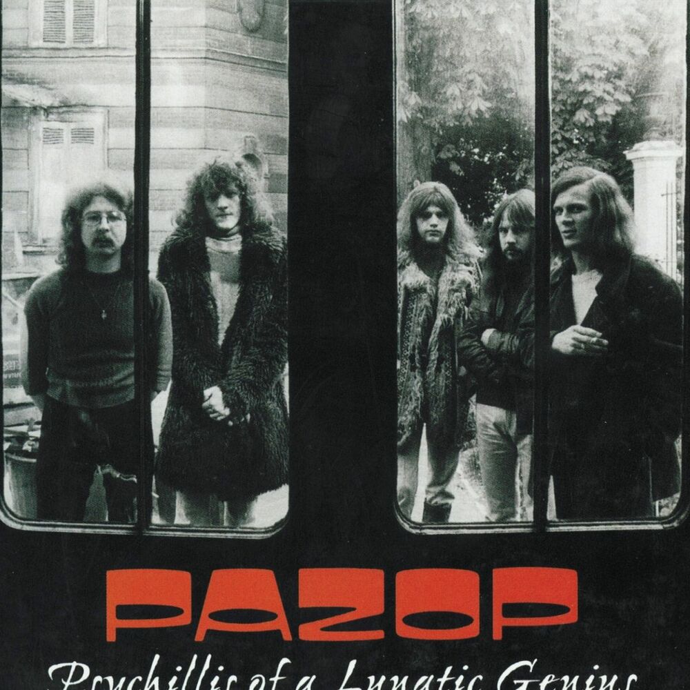 Picture of Pazop