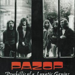 Picture of Pazop