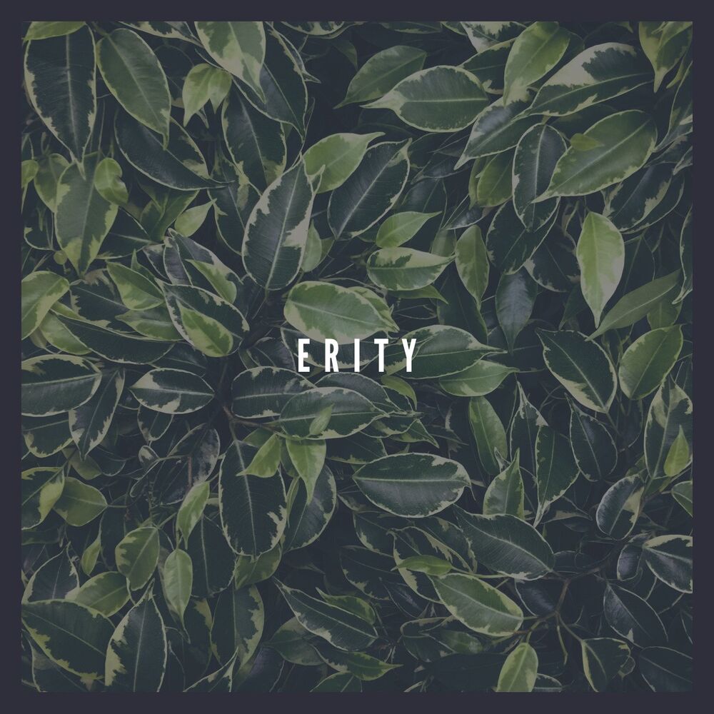 Picture of Erity