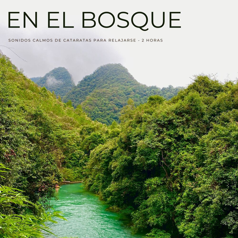 Picture of Sonidos de la Selva