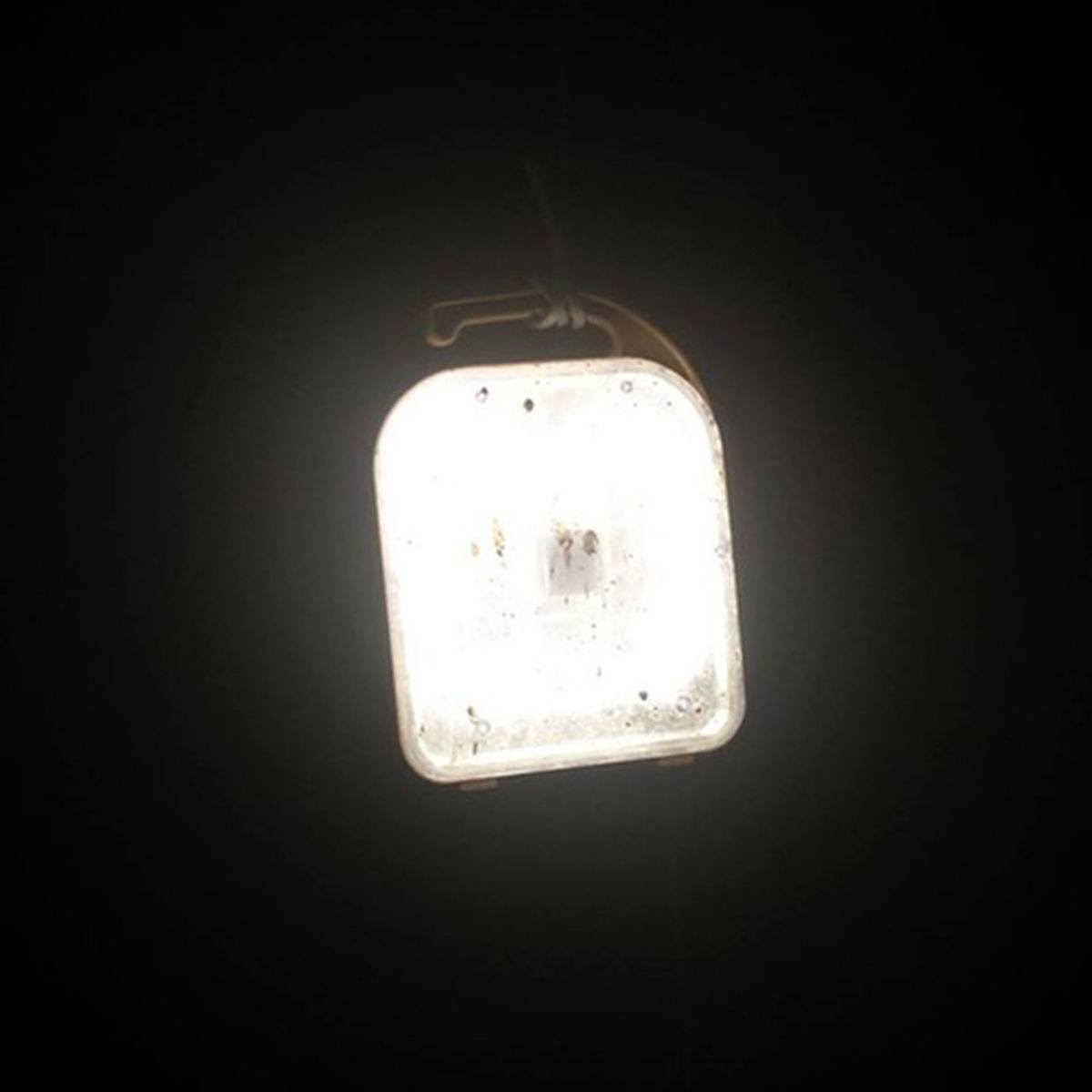 Artist picture of black midi