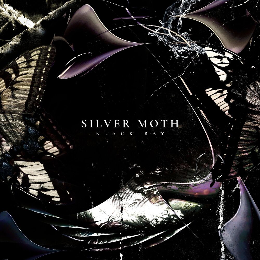 Picture of Silver Moth
