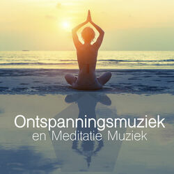 Picture of Rustgevende Muziek Dream Masters