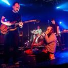 Les Savy Fav