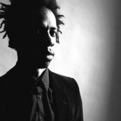 Picture of Grey Reverend