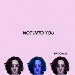 Picture of Brooksie