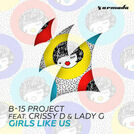 B-15 Project