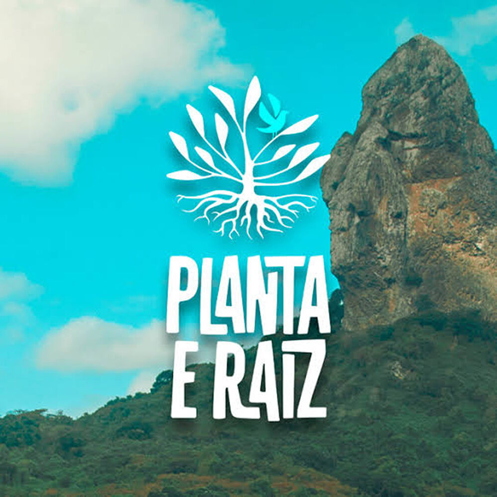Picture of Planta E Raiz