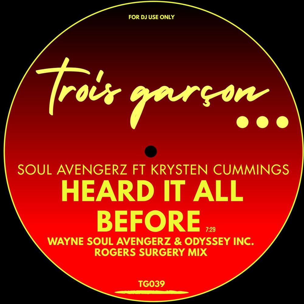 Picture of Soul Avengerz
