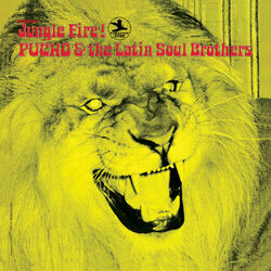 Picture of Pucho And The Latin Soul Brothers