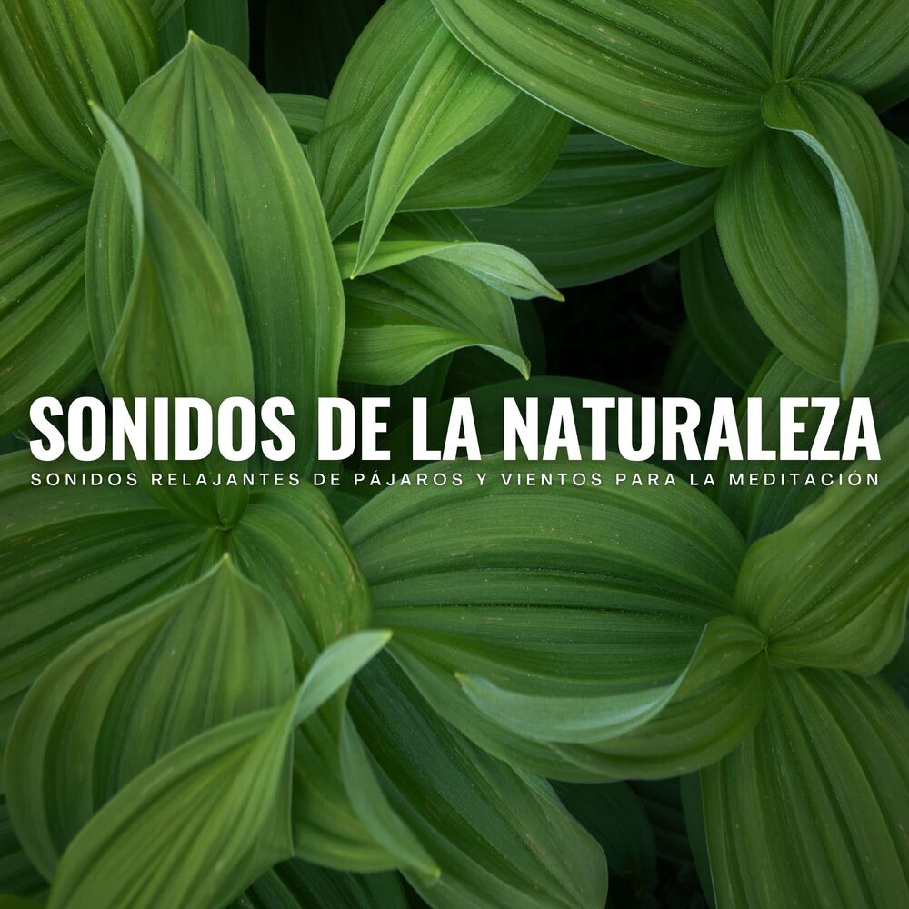 Picture of Toque de la naturaleza