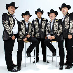 Picture of Los Tigrillos