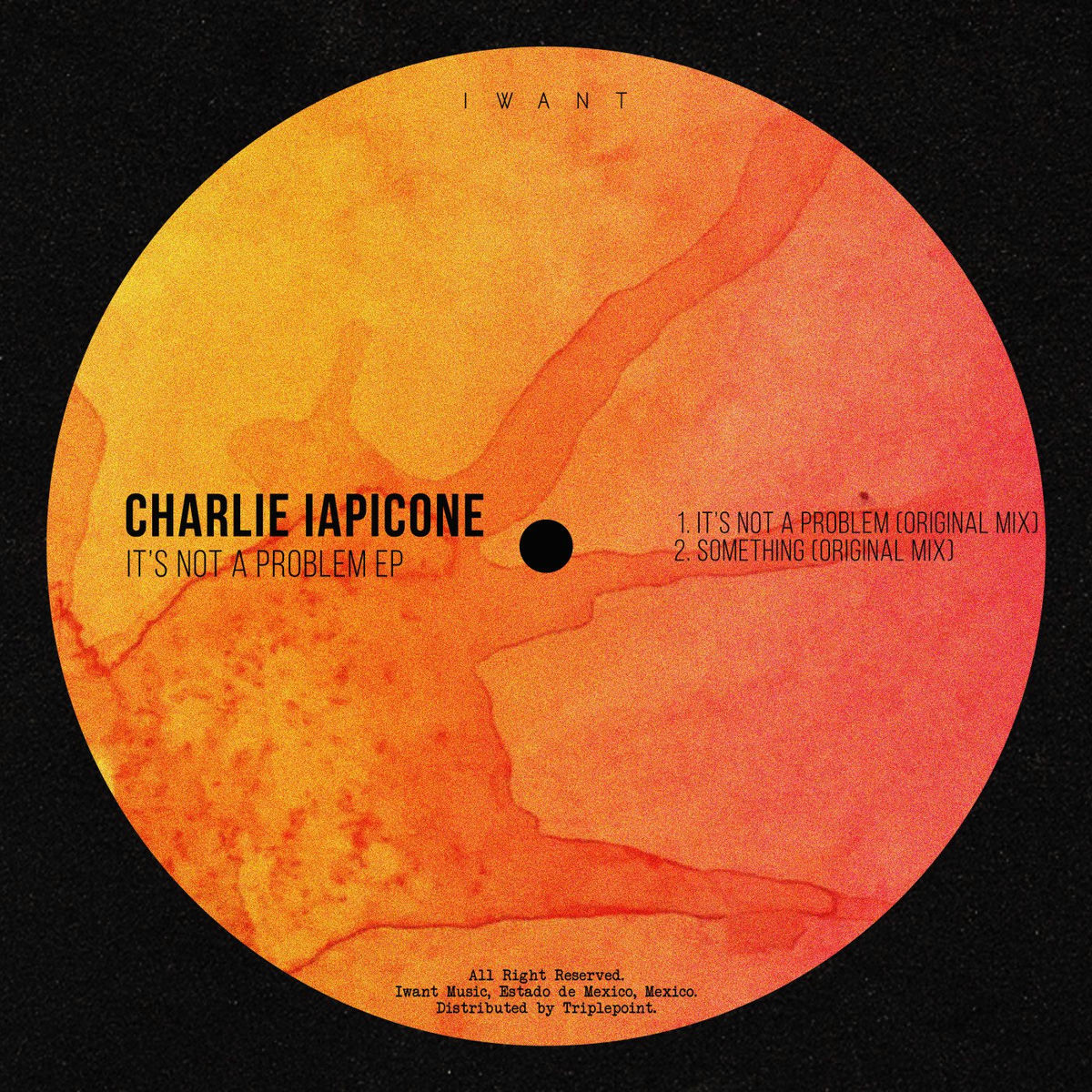 Artist picture of Charlie Iapicone