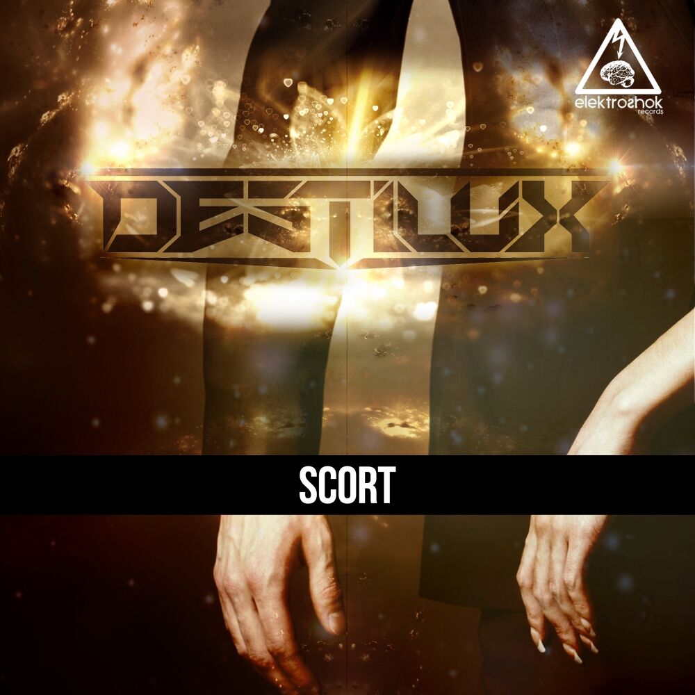 Picture of DestiluX