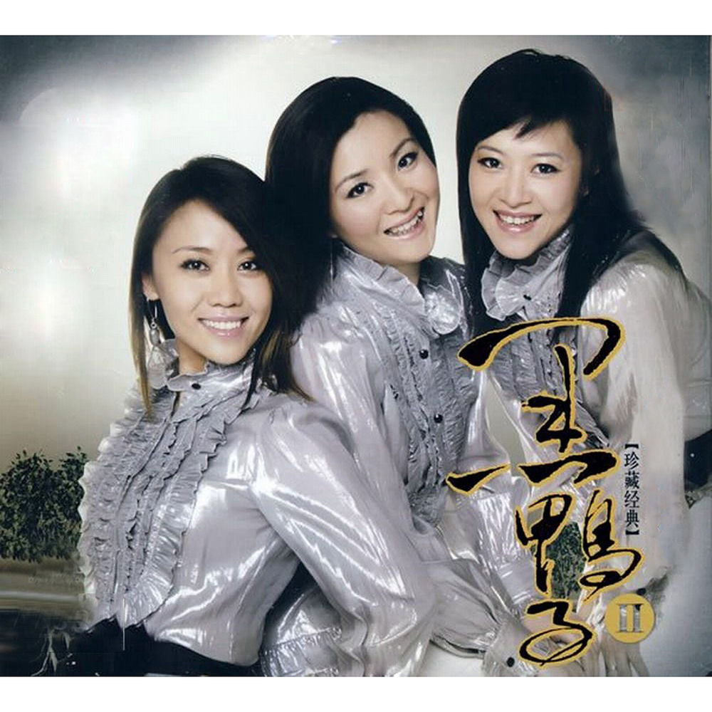 黑鴨子