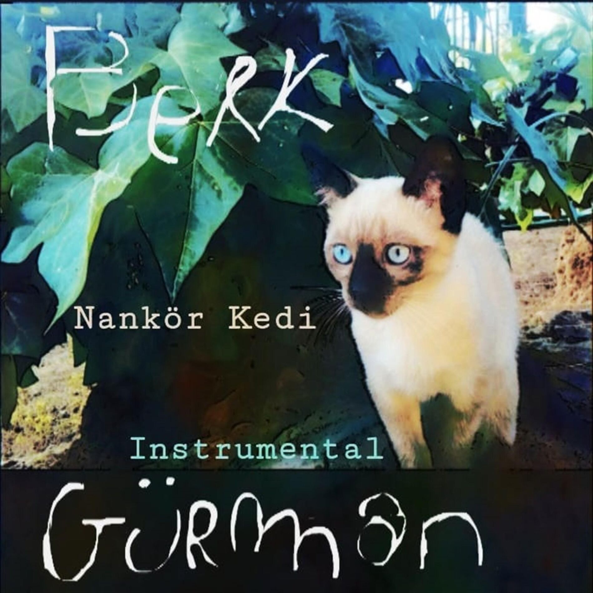 Berk Gürman