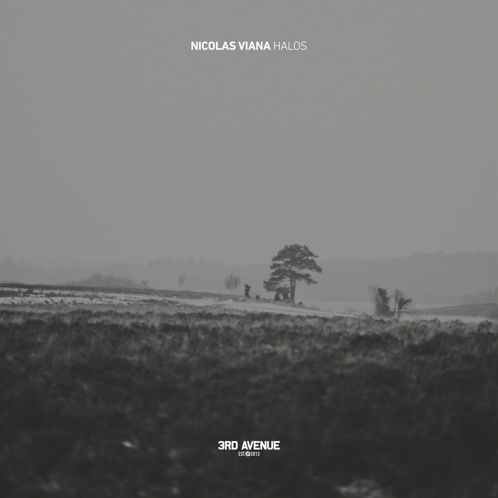 Picture of Nicolas Viana