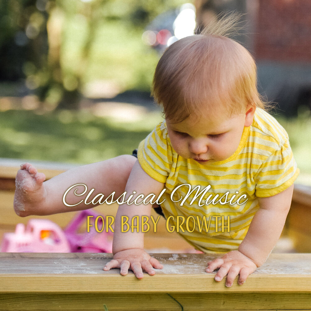 Picture of Classical Baby Music Ultimate Collection