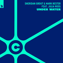 Picture of Sheridan Grout