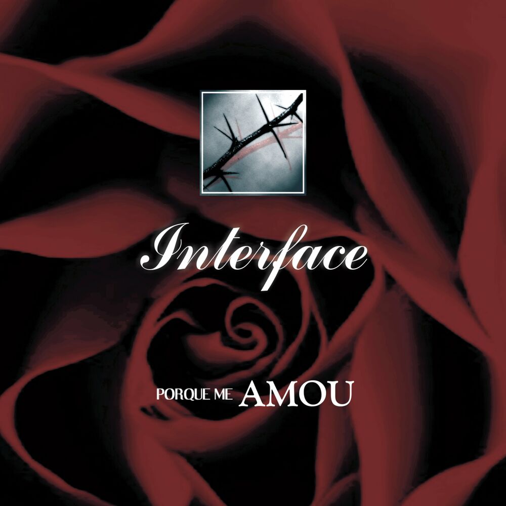 Picture of Grupo Interface