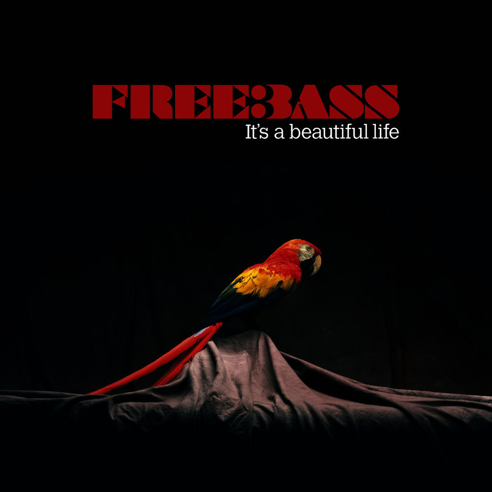 Picture of Freebass