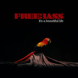 Picture of Freebass
