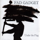 Fad Gadget