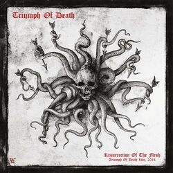 Picture of Triumph of Death