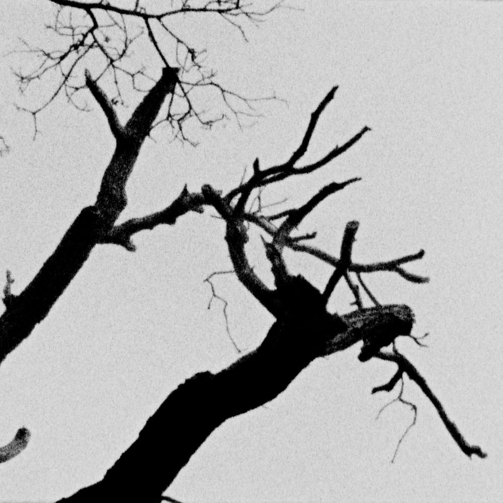 Photo de l'artiste Mouth Ulcers