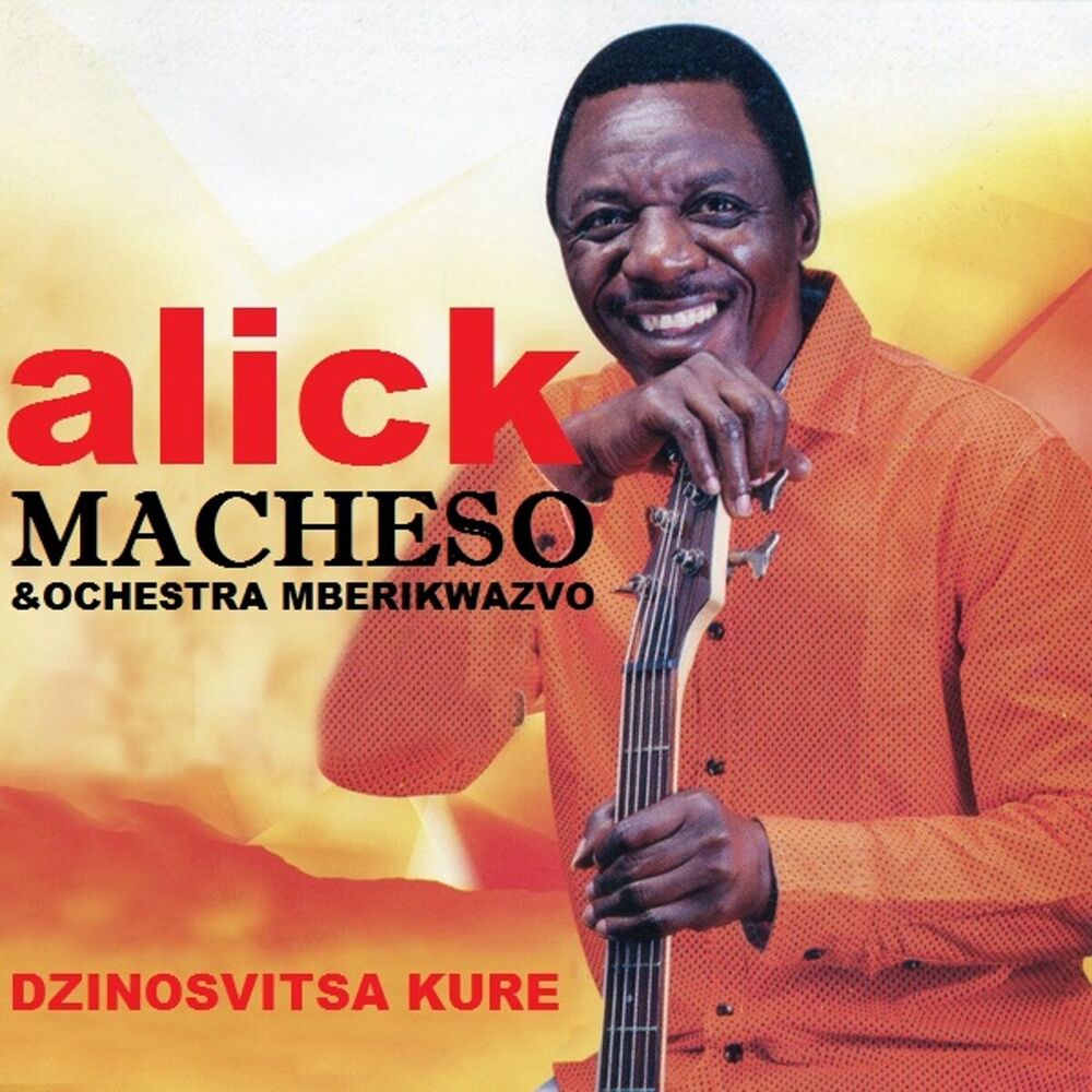 Picture of Ochestra Mberikwazvo