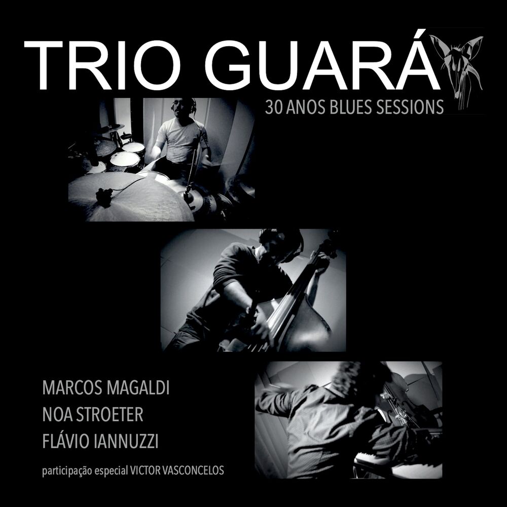 Picture of Trio Guará